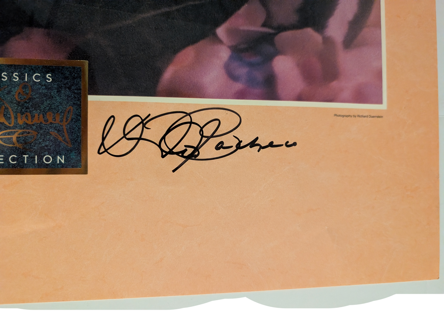 Field Mouse "Little April Shower" Photograph Poster 20in x 30in Signed by David Pacheco "To Janice"