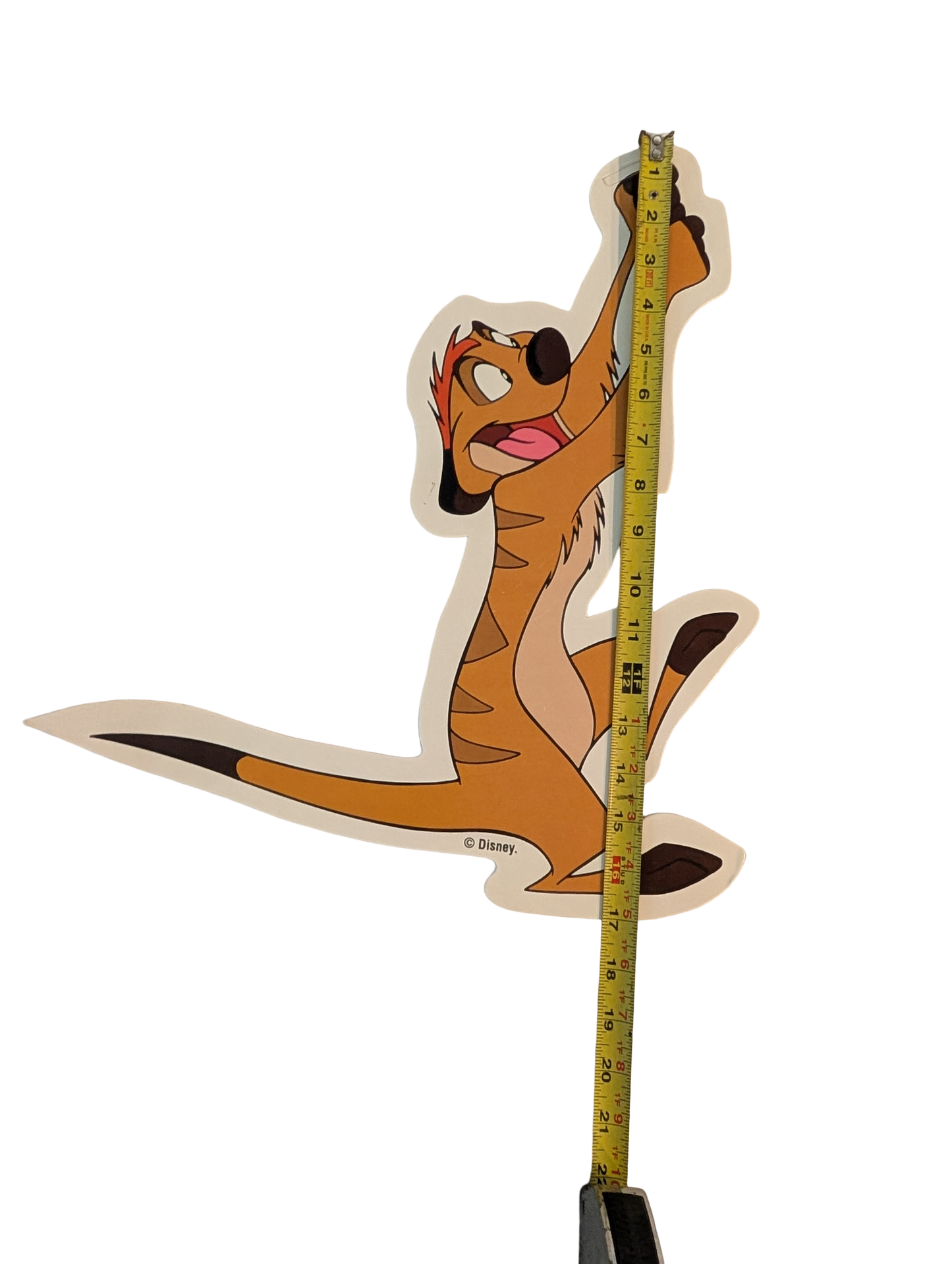 "Lion King" Cardboard Cutouts - Simba, Mufasa, Timon, Pumbaa, and two greenery
