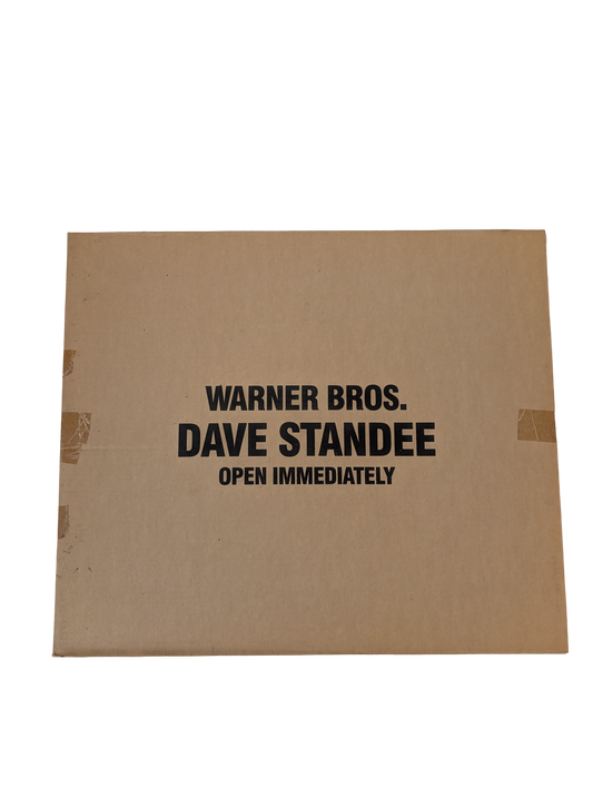 "Dave" 1993 Video Store Standee