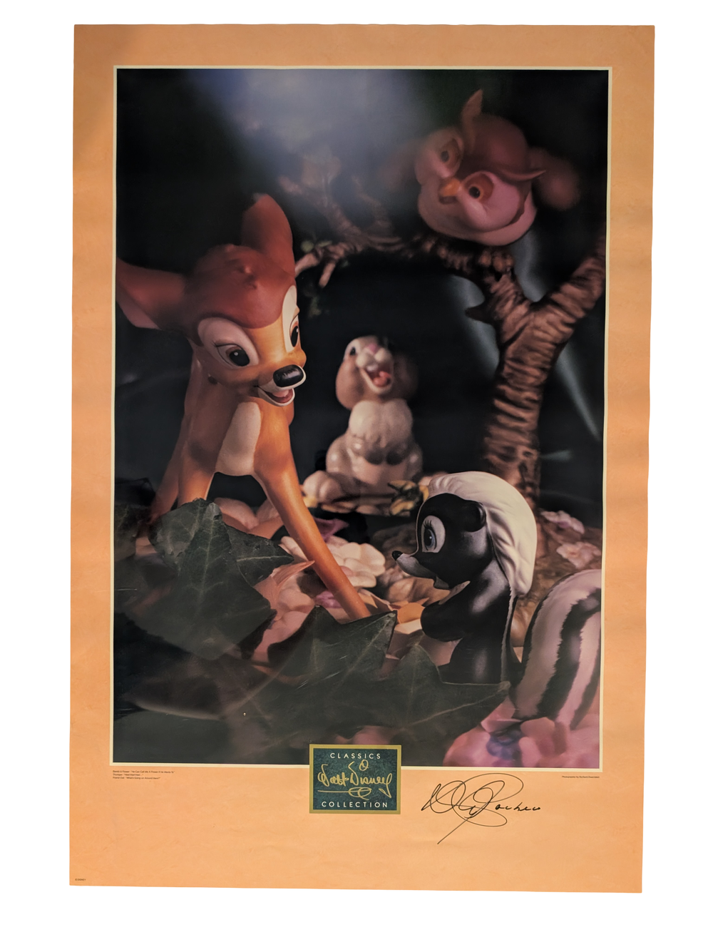 Field Mouse "Little April Shower" Photograph Poster 20in x 30in Signed by David Pacheco