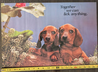 "Together we can lick anything." Dog Poster 21in x 14in