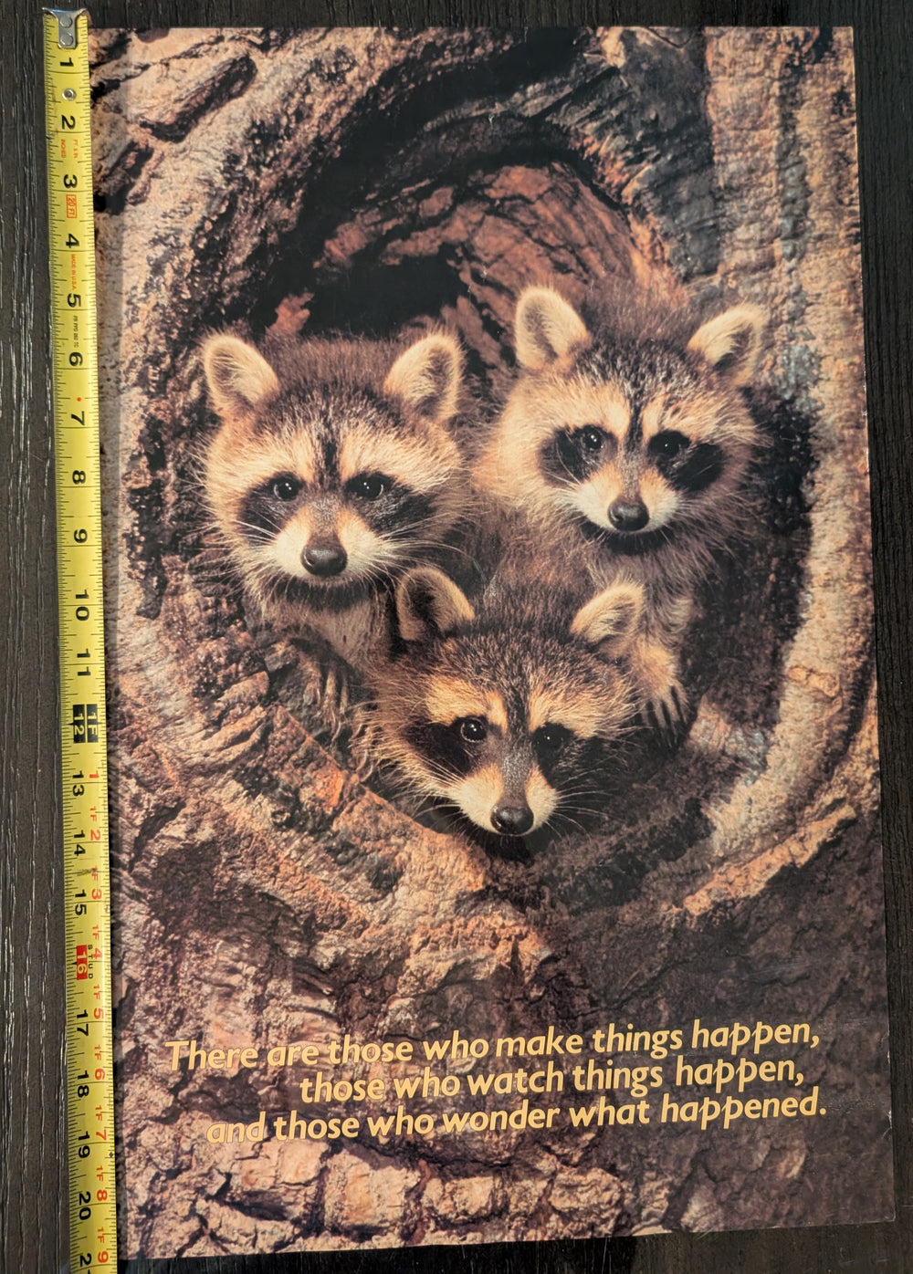 "There are those who make things happen, those who watch things happen, and those who wonder what happened." Racoon Poster 14in x 21in
