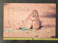 "A Hug is worth a thousand words." Prairie dog Poster 21in x 14in