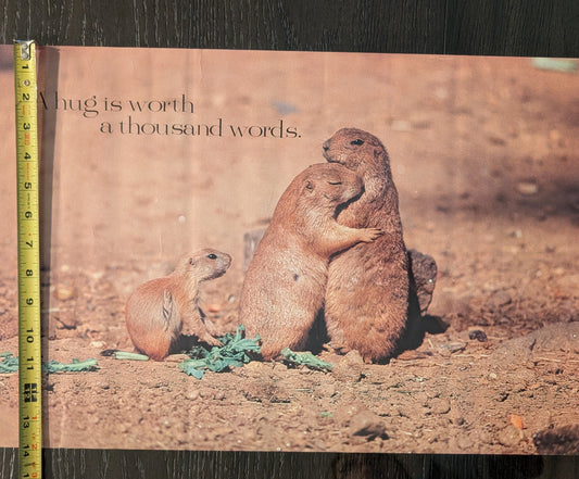 "A Hug is worth a thousand words." Prairie dog Poster 21in x 14in