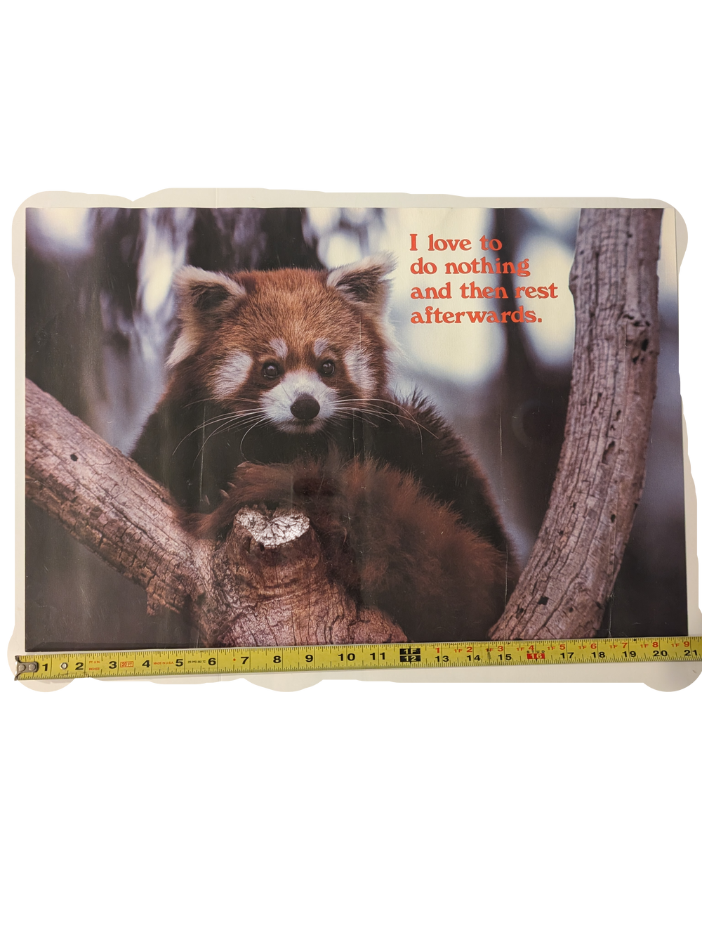 "I love to do nothing and then rest afterwards." Poster 14in x 21in