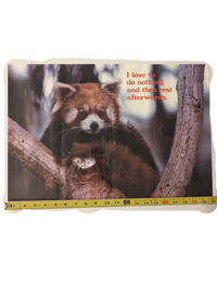"I love to do nothing and then rest afterwards." Poster 14in x 21in