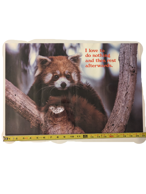 "I love to do nothing and then rest afterwards." Poster 14in x 21in