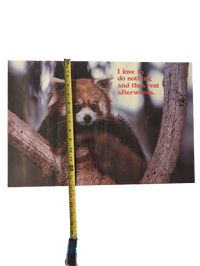 "I love to do nothing and then rest afterwards." Poster 14in x 21in