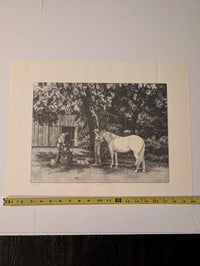 "The Shoein' Tree" by Raymond J. Mueller 268/450 print 16in x 20in
