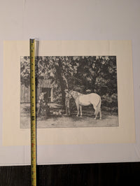 "The Shoein' Tree" by Raymond J. Mueller 268/450 print 16in x 20in
