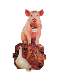 "Babe" Video Store Standee