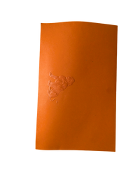 1994 Walt Disney Attractions Vacation Adventure Fit For A Lion King Commemorative Portfolio