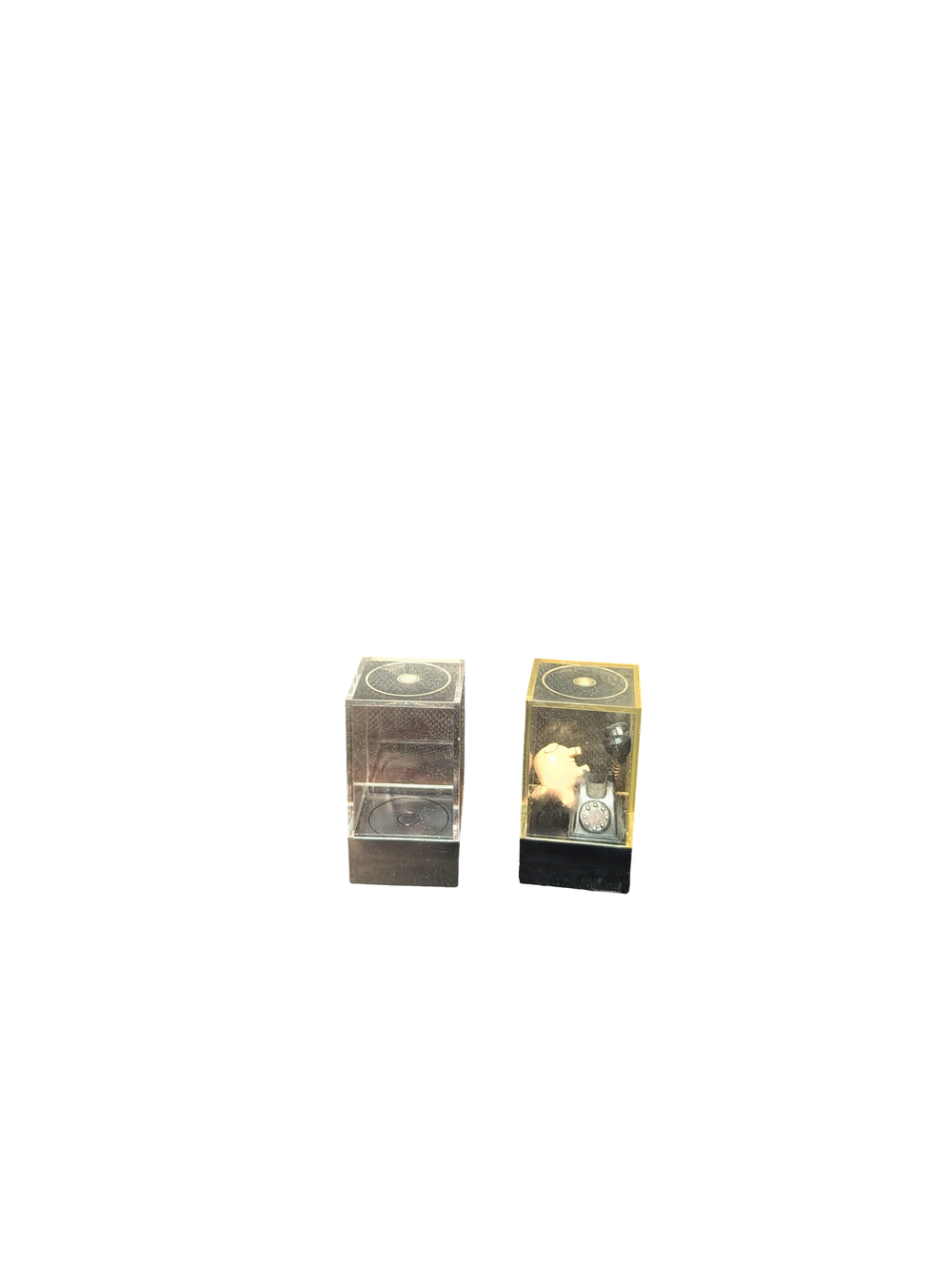 Mid-Century Miniature Pig and Rotary Telephone Acrylic Cube Diorama