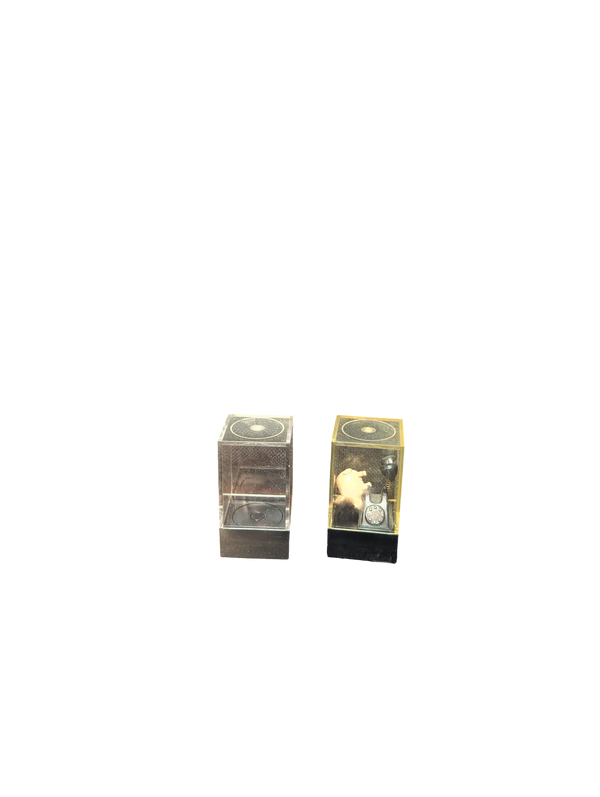 Mid-Century Miniature Pig and Rotary Telephone Acrylic Cube Diorama