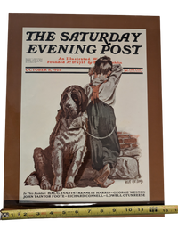 The Saturday Evening Post October 8, 1921 "St. Bernard for Sale" by Angus MacDonall 13in x 17in Print