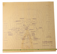 Walt Disney World Theme Park - Site Plan 01-25-71 Print 35in x 36in